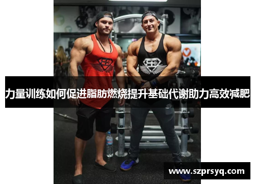 力量训练如何促进脂肪燃烧提升基础代谢助力高效减肥